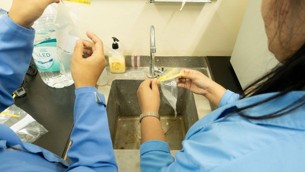 EIA Project at DOST Region III Philippines The Philautia